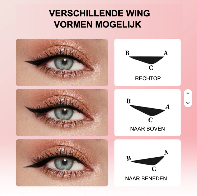 Vorschaubild 8