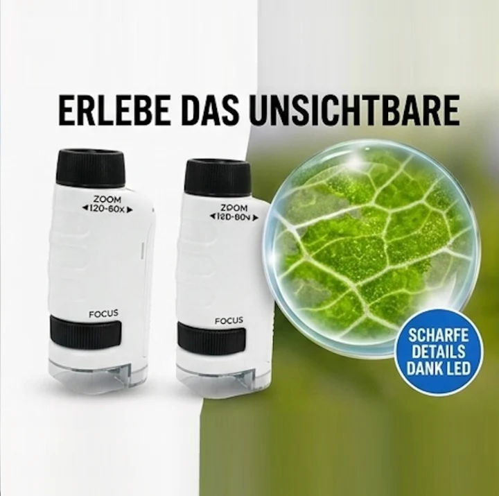 Vorschaubild 5