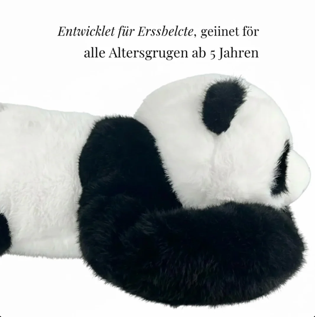 Vorschaubild 5